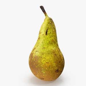 3D pear conference