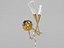 Collection AEREO GOLD
