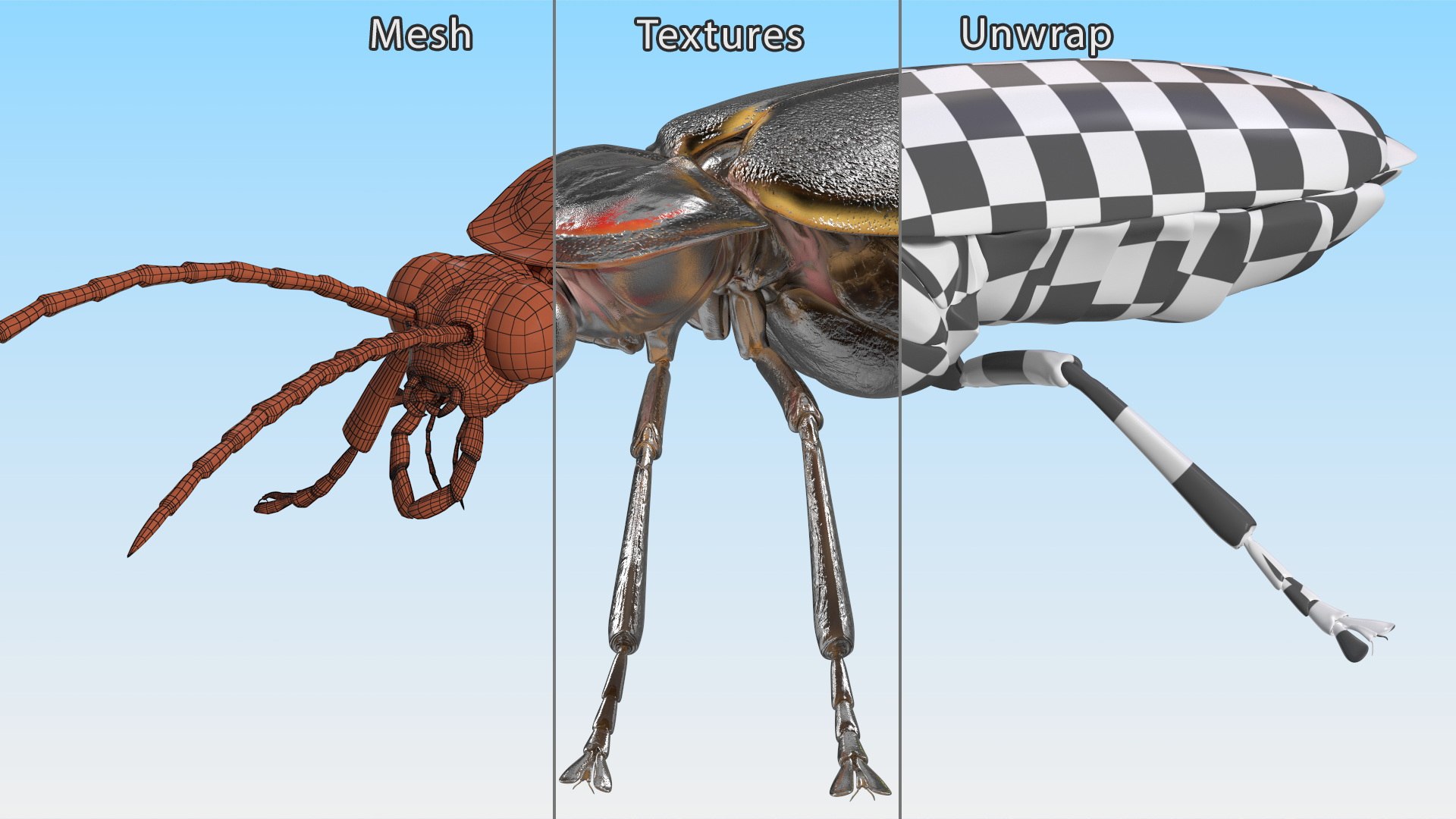 Photinus Pyralis Glowing Crawling Pose 3D - TurboSquid 2171884