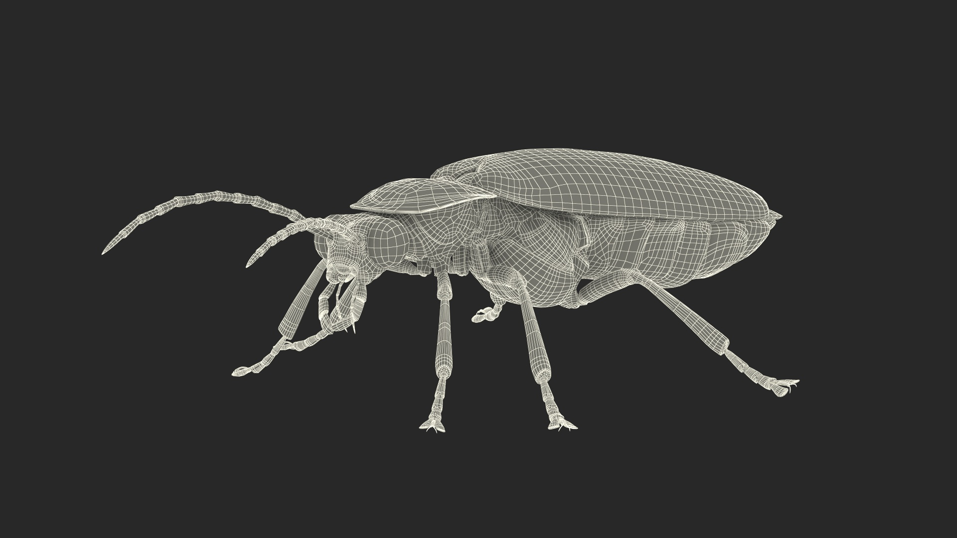 Photinus Pyralis Glowing Crawling Pose 3D TurboSquid 2171884