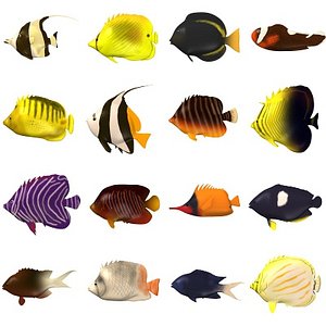 tropical fishes 3d model