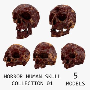 Horror Human Skull Collection 01 3D model