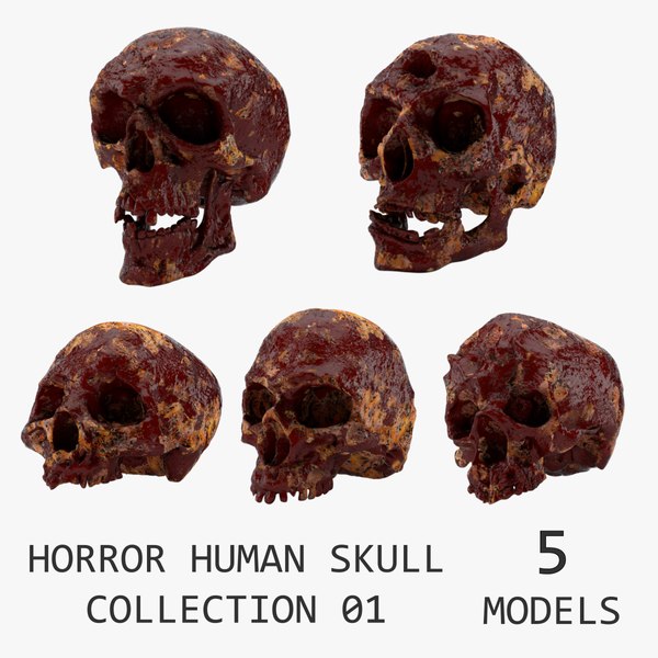 3D Модель Horror Human Skull Collection 01 - TurboSquid 2085777