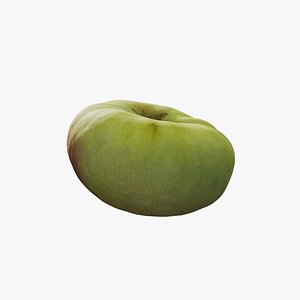 Anydrafts Flat peach 02 3D model