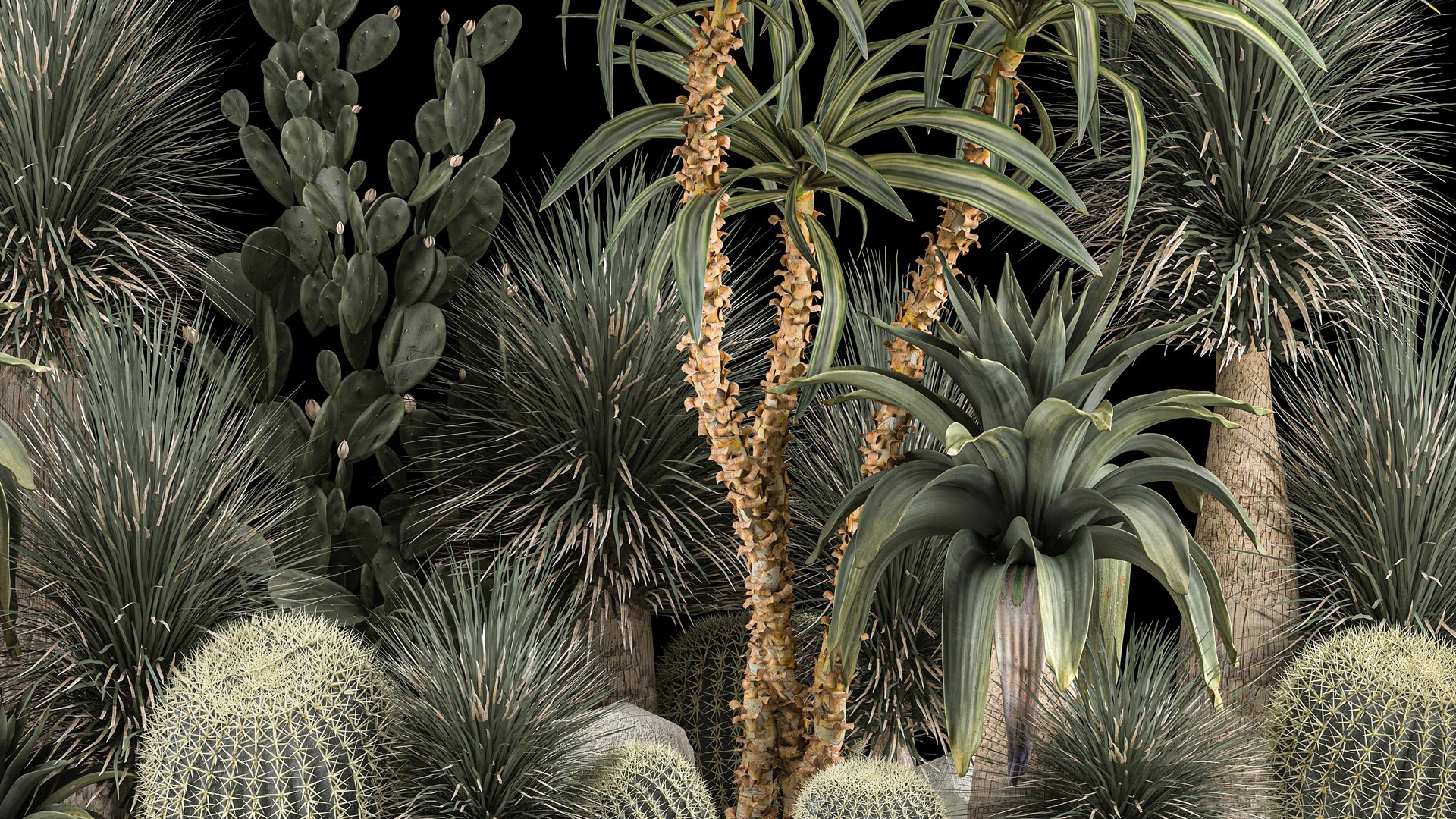 3D Collection Plants Desert Flowerbed With Cactus 1117 - TurboSquid 1915194