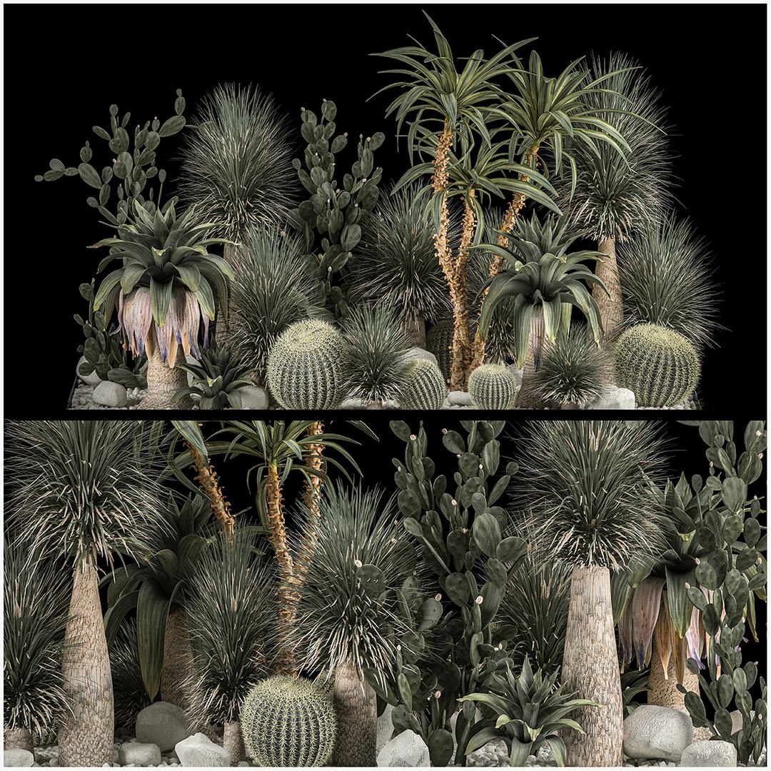 3D Collection Plants Desert Flowerbed With Cactus 1117 - TurboSquid 1915194