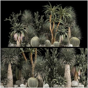 3D Collection Plants Desert Flowerbed With Cactus 1117