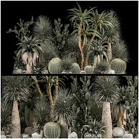 Collection Plants Desert Flowerbed With Cactus 1117