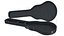 Guitar Case