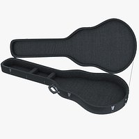 Guitar Case