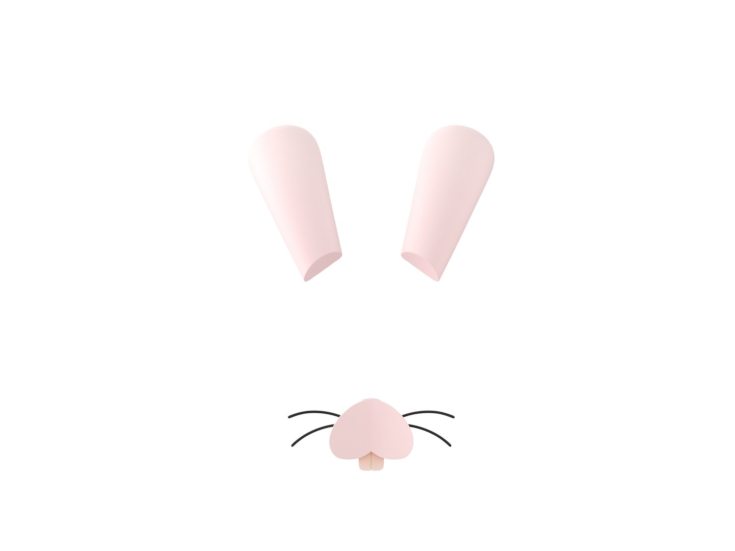 Rabbit Face 3D Model - TurboSquid 1596691