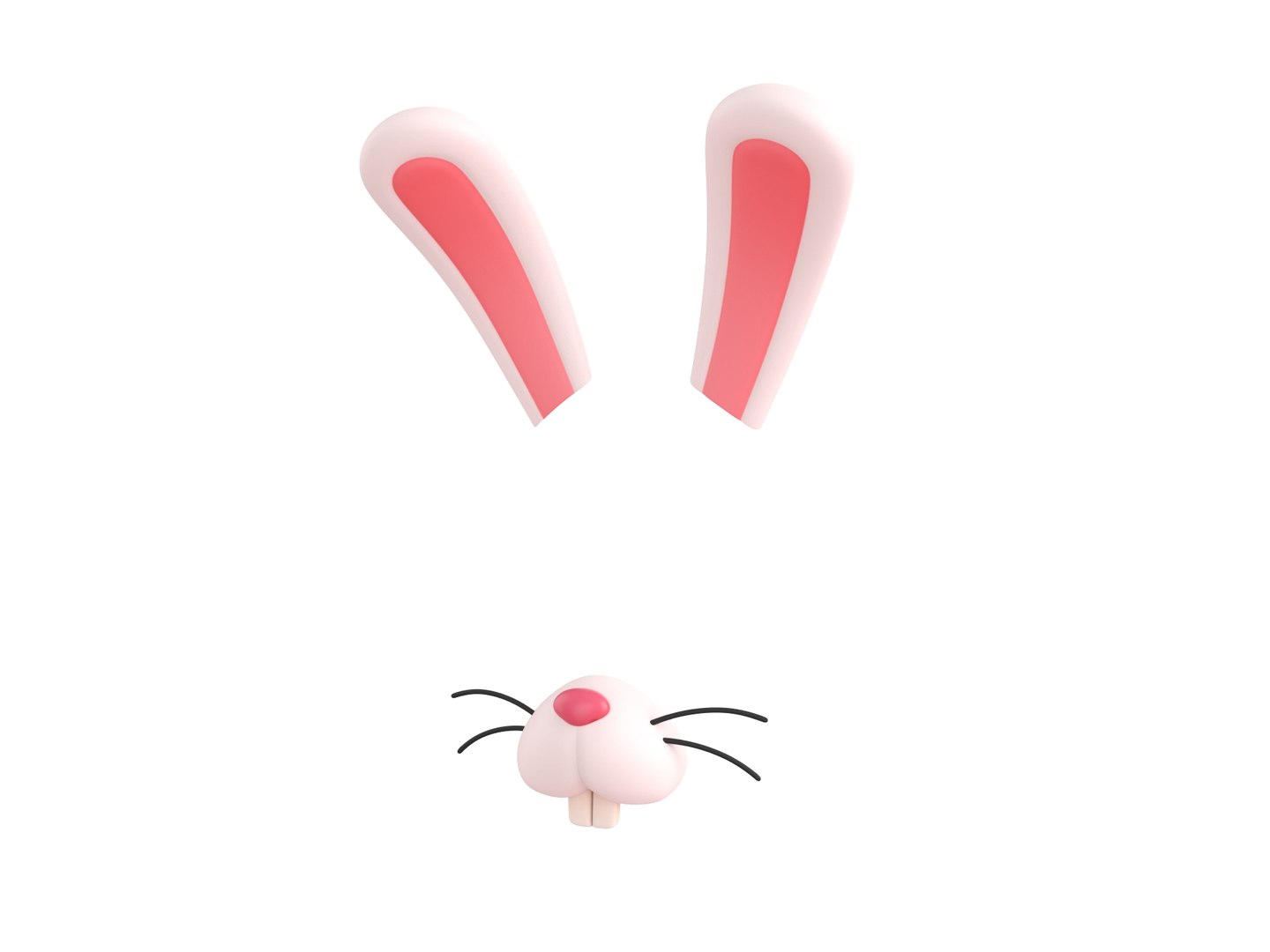 Rabbit Face 3D Model - TurboSquid 1596691
