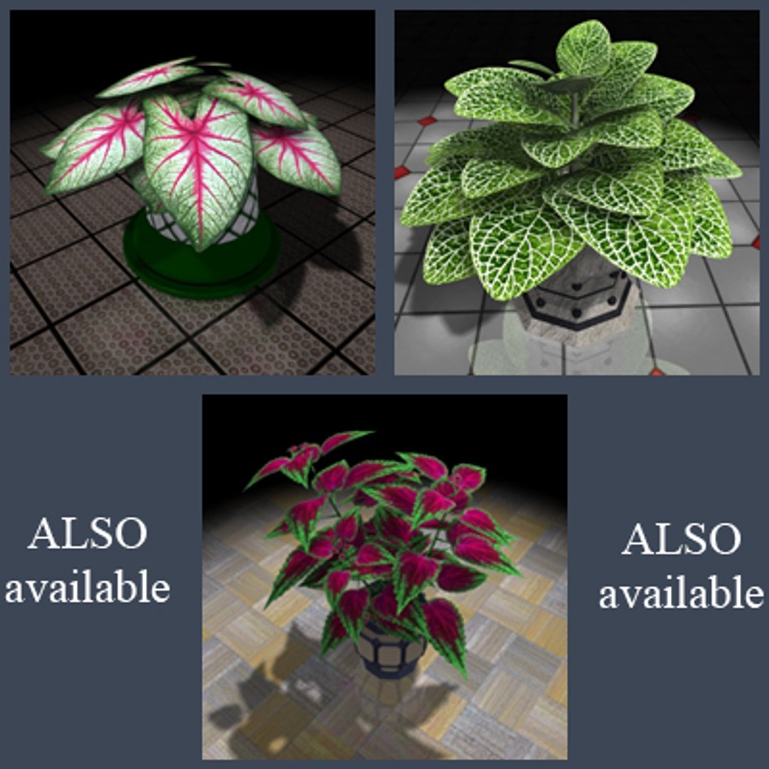 3d decoratif plant dieffenbachia house https://p.turbosquid.com/ts-thumb/ew/02M8ta/UMszknOh/dieffenbachia/jpg/1224271119/1920x1080/fit_q87/d0a123b2ee6cfc1bbc4ef016b2420241e5a86a26/dieffenbachia.jpg