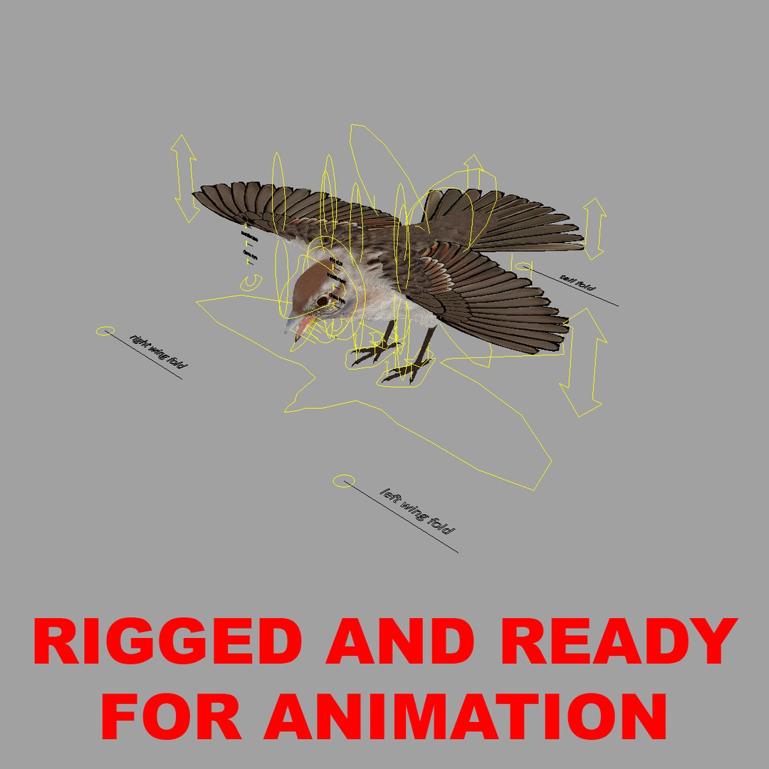 3d spizella arborea american tree model https://p.turbosquid.com/ts-thumb/ew/4tH0S4/9Ip1DJeb/rigged/jpg/1413999569/1920x1080/fit_q87/1553307341e469910ce40c0f323d61c317e223e6/rigged.jpg