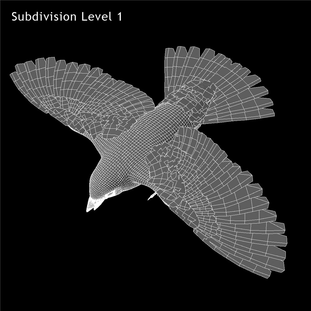 3d spizella arborea american tree model https://p.turbosquid.com/ts-thumb/ew/4tH0S4/L1HdPa2V/ww02/jpg/1413997500/1920x1080/fit_q87/81e7f7fb5acce5979148babb14f543daa3313dd0/ww02.jpg