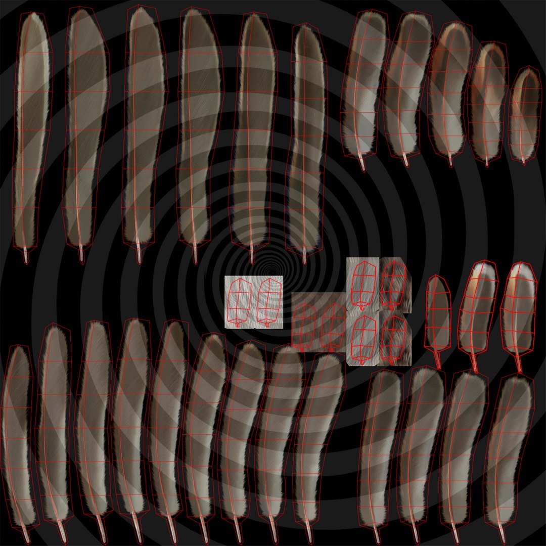 3d spizella arborea american tree model https://p.turbosquid.com/ts-thumb/ew/4tH0S4/hXNflEzt/feathers_uv/jpg/1413996677/1920x1080/fit_q87/3d5783d96448f3a4c6620ce5efc31f054b3e3f45/feathers_uv.jpg