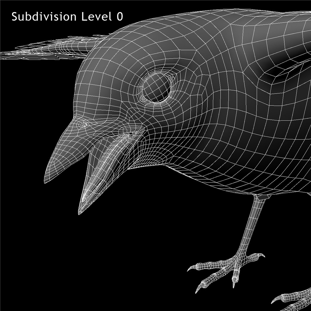 3d spizella arborea american tree model https://p.turbosquid.com/ts-thumb/ew/4tH0S4/iqEmIKrl/ww05/jpg/1413997500/1920x1080/fit_q87/6aa8d1e80e91cc552940a30e810c36735a6b3423/ww05.jpg