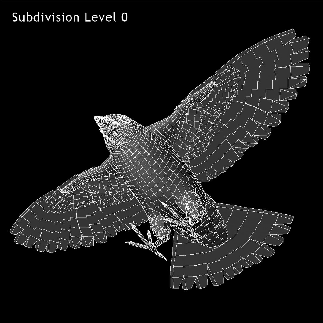 3d spizella arborea american tree model https://p.turbosquid.com/ts-thumb/ew/4tH0S4/wGt54yhy/ww03/jpg/1413997500/1920x1080/fit_q87/862652dfdbafedfdb2b098daeee419a91751b4e8/ww03.jpg