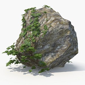 3D realistic ivy rock