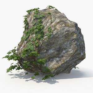 Ivy with Rock 02