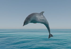 Dolphin 3D model