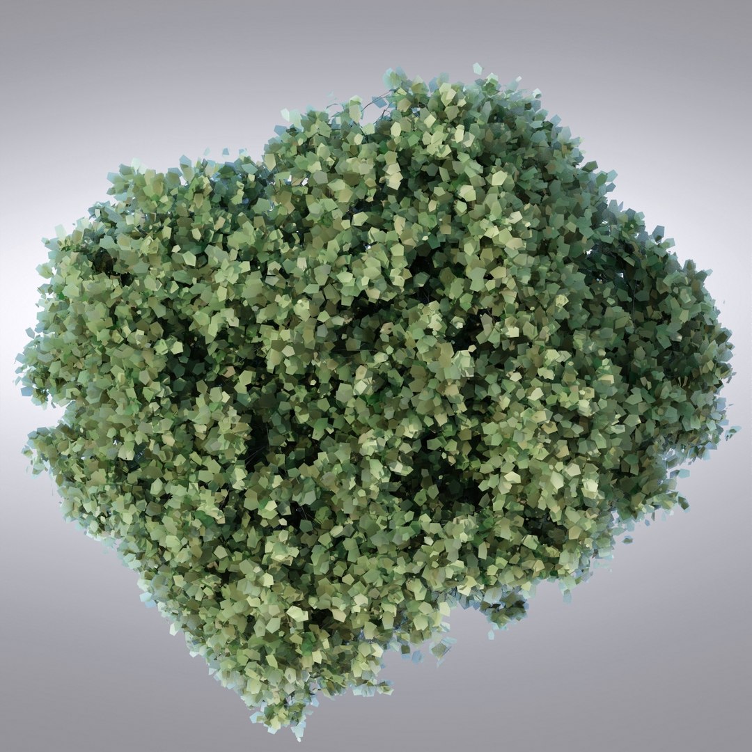 Max Realistic Tree
