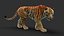 Tiger 3 FUR 3D model