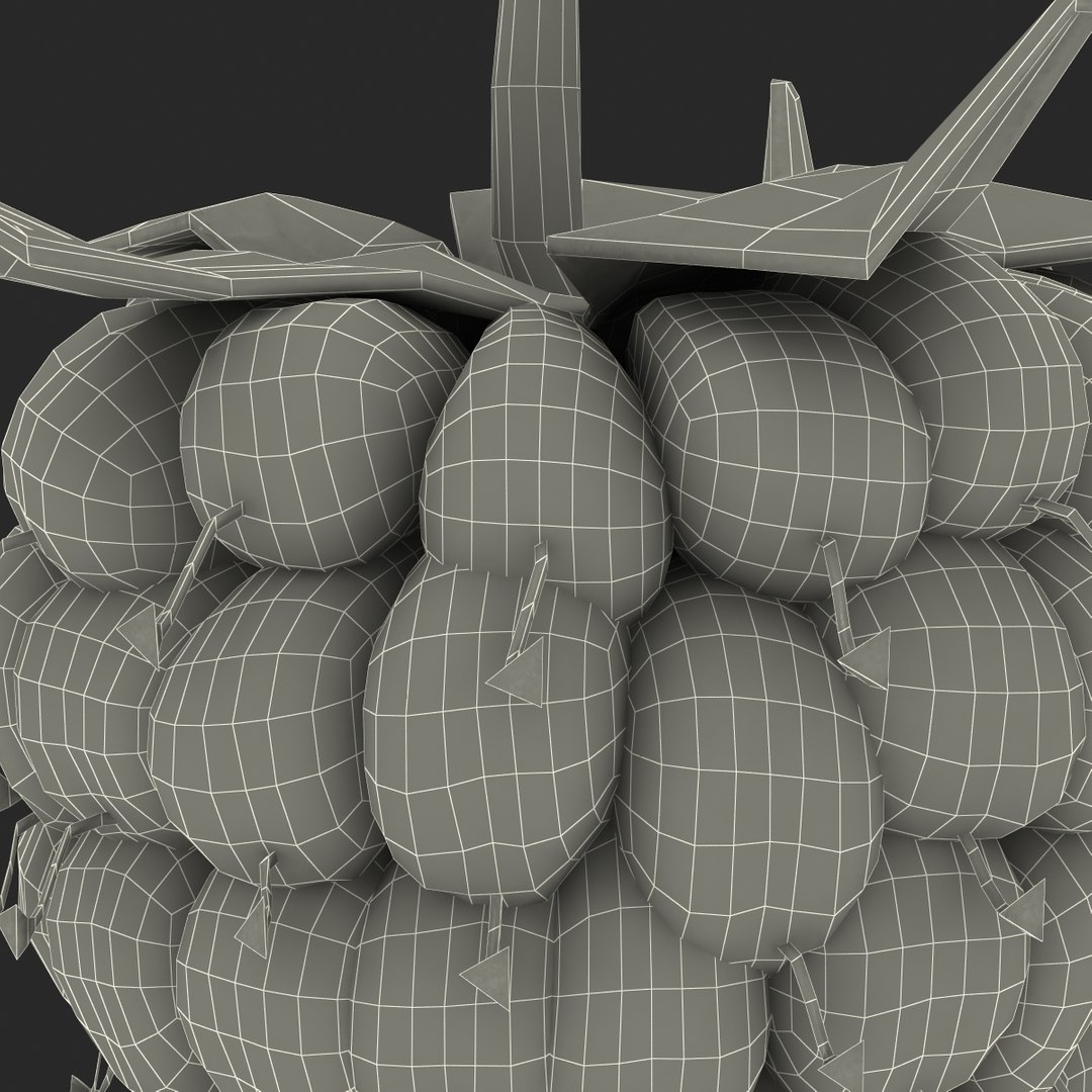 3d model raspberry berry https://p.turbosquid.com/ts-thumb/ew/QXiayo/1plgKSe2/raspberry3dmodel34/jpg/1426681874/1920x1080/fit_q87/5e31cad26a61eb6fc9a022801f2e07b196ff31c2/raspberry3dmodel34.jpg