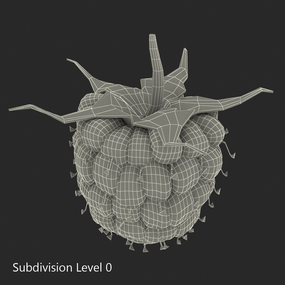 3d model raspberry berry https://p.turbosquid.com/ts-thumb/ew/QXiayo/21PFSZva/raspberry3dmodel20/jpg/1426681873/1920x1080/fit_q87/989434923d07987c183867fc9d7196e96912138d/raspberry3dmodel20.jpg