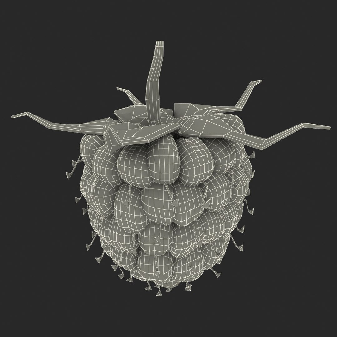 3d model raspberry berry https://p.turbosquid.com/ts-thumb/ew/QXiayo/5oUSAw3C/raspberry3dmodel28/jpg/1426681874/1920x1080/fit_q87/0fab452dd32302849bbc4a7164355c31b3d0de31/raspberry3dmodel28.jpg