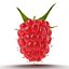 Raspberry