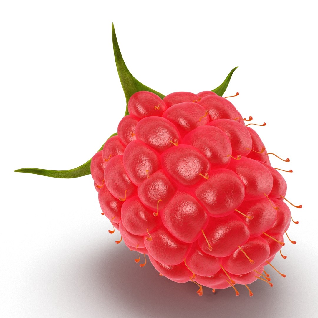 3d model raspberry berry https://p.turbosquid.com/ts-thumb/ew/QXiayo/7BzGGIHy/raspberry3dmodel09/jpg/1426681872/1920x1080/fit_q87/56a27f69bd794083d6827eca236ae93dd6a247e7/raspberry3dmodel09.jpg