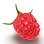 Raspberry