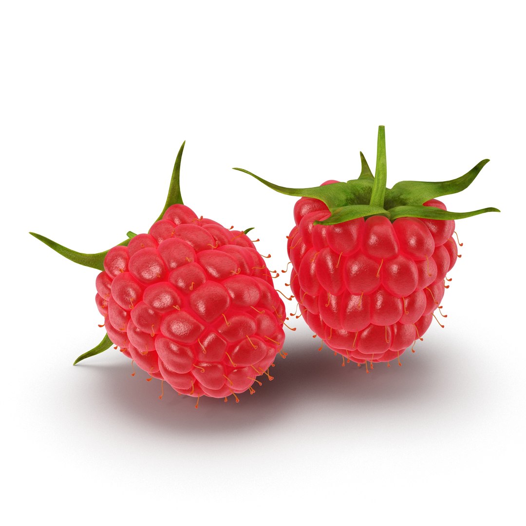 Raspberry 3D model preview