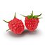 Raspberry