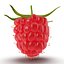 Raspberry