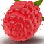 Raspberry