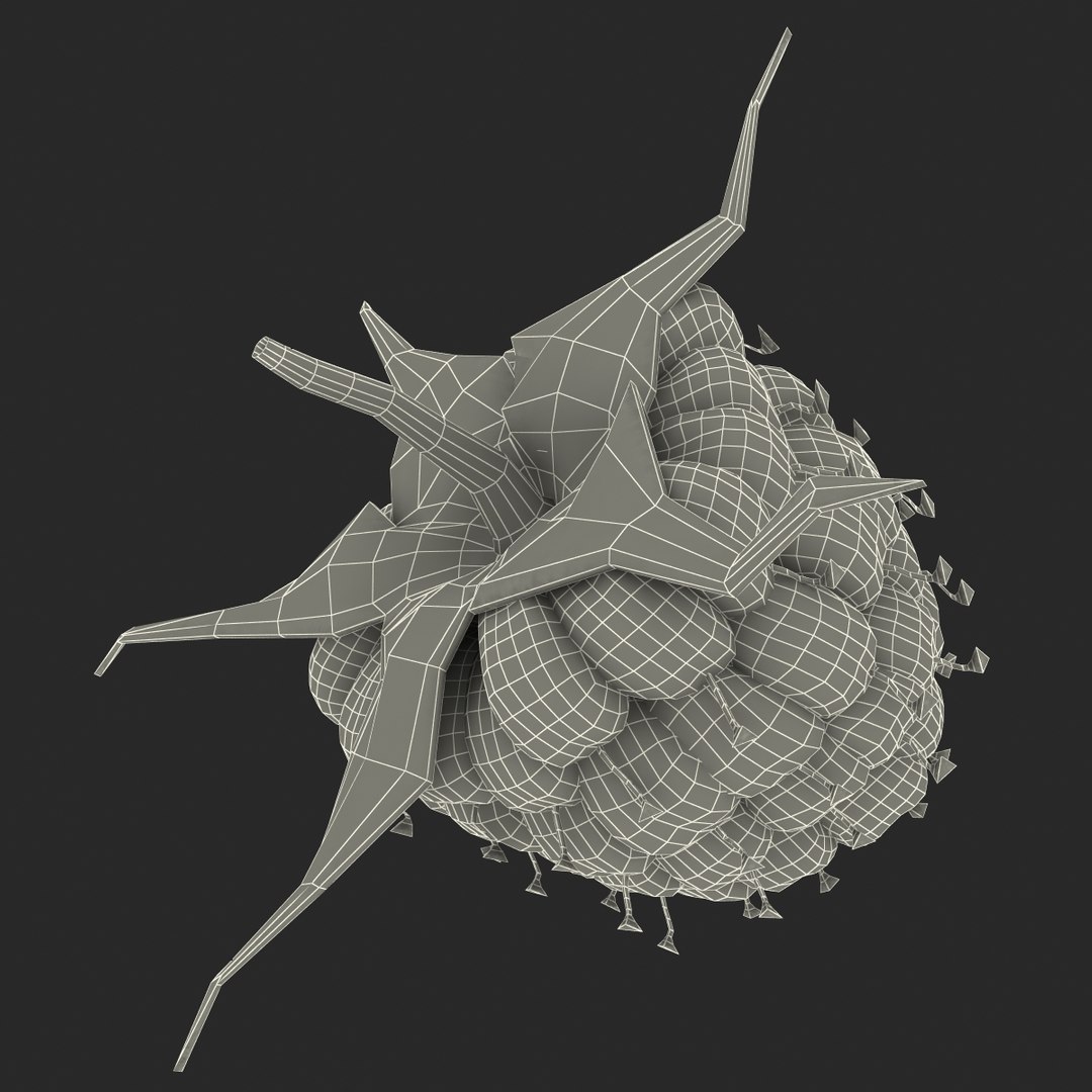 3d model raspberry berry https://p.turbosquid.com/ts-thumb/ew/QXiayo/CHbfPsdu/raspberry3dmodel31/jpg/1426681874/1920x1080/fit_q87/0c84261b6c3b03d90bbef574620b7707951436b7/raspberry3dmodel31.jpg