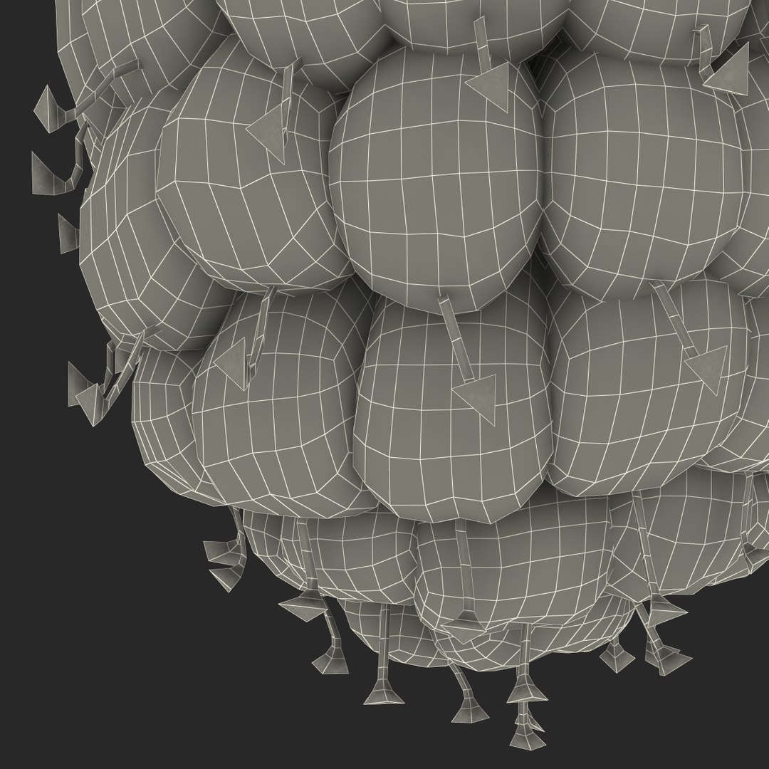 3d model raspberry berry https://p.turbosquid.com/ts-thumb/ew/QXiayo/DyLito6S/raspberry3dmodel35/jpg/1426681874/1920x1080/fit_q87/3290789819c0e14c2eed2239e384ee2b58d7498b/raspberry3dmodel35.jpg