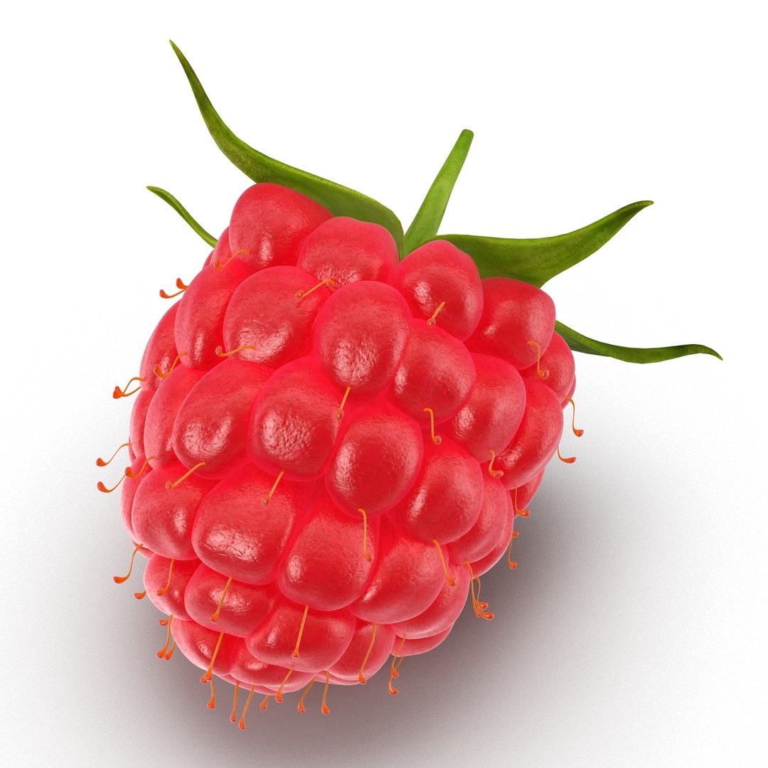3d model raspberry berry https://p.turbosquid.com/ts-thumb/ew/QXiayo/FkTgc7l2/raspberry3dmodel13/jpg/1426681872/1920x1080/fit_q87/e7d5c7aabfb5967a1a0ff9c47fc69dcb513c1424/raspberry3dmodel13.jpg