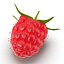 Raspberry