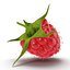 Raspberry