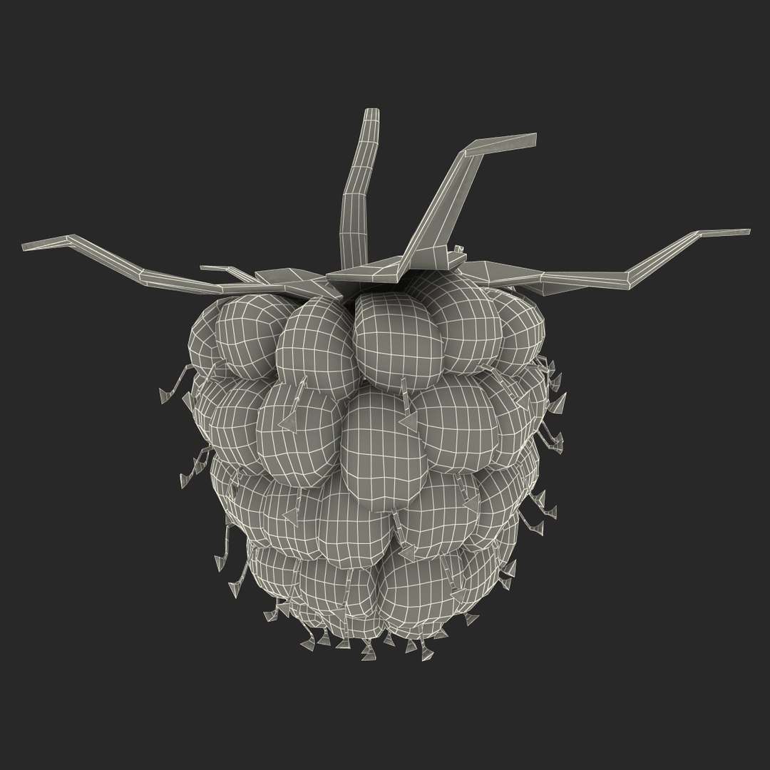 3d model raspberry berry https://p.turbosquid.com/ts-thumb/ew/QXiayo/GyciBzLN/raspberry3dmodel29/jpg/1426681874/1920x1080/fit_q87/790e5dc97222ebd29371306bc7f29eeeaf5fb5cd/raspberry3dmodel29.jpg