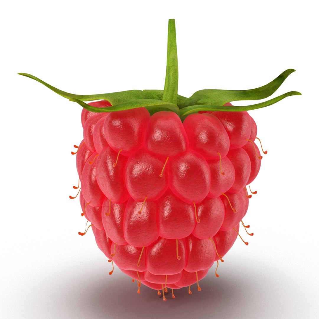 3d model raspberry berry https://p.turbosquid.com/ts-thumb/ew/QXiayo/IVn9LZmK/raspberry3dmodel02/jpg/1426681871/1920x1080/fit_q87/5aa18479d10ccc3804e9c622abcd46e238055f2a/raspberry3dmodel02.jpg