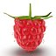 Raspberry