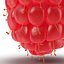 Raspberry