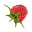 Raspberry