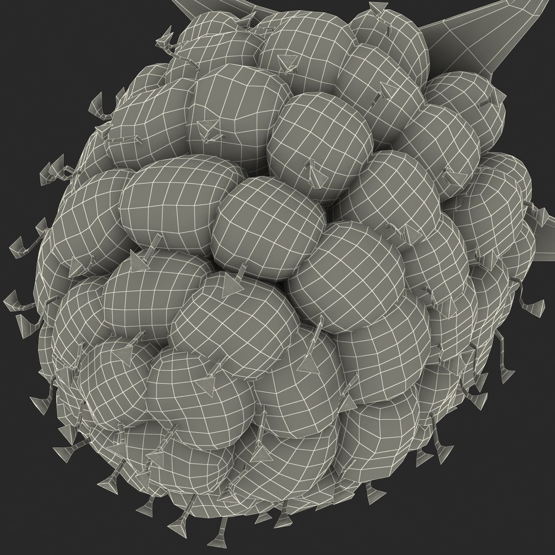3d model raspberry berry https://p.turbosquid.com/ts-thumb/ew/QXiayo/TP60hyX9/raspberry3dmodel33/jpg/1426681874/1920x1080/fit_q87/6045539f2a66b77e8350b11617e2698a4e55a8d7/raspberry3dmodel33.jpg