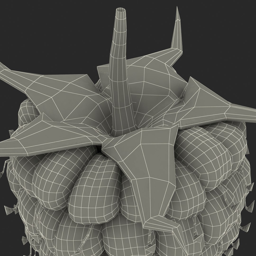 3d model raspberry berry https://p.turbosquid.com/ts-thumb/ew/QXiayo/Tix9zNJC/raspberry3dmodel32/jpg/1426681874/1920x1080/fit_q87/251de7ec71fc37a5fa8b9e62afd28170979e6521/raspberry3dmodel32.jpg