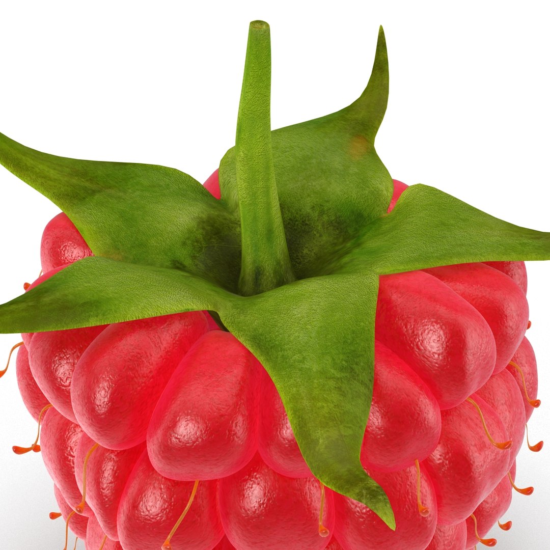 3d model raspberry berry https://p.turbosquid.com/ts-thumb/ew/QXiayo/UZyd7ogs/raspberry3dmodel17/jpg/1426681873/1920x1080/fit_q87/28285511d33d7dbc1dabbcf7148629b6e52f6aa6/raspberry3dmodel17.jpg